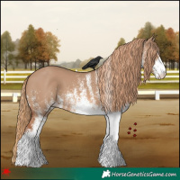 Horse Color:White Spotted Red Dun