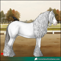 Horse Color:White Spotted Liver Red Dun Splash Appaloosa 