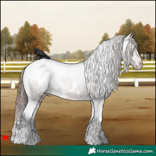 Horse Color:White Spotted Brown Varnish 