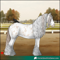 Horse Color:White Spotted Bay Dun Splash Appaloosa 