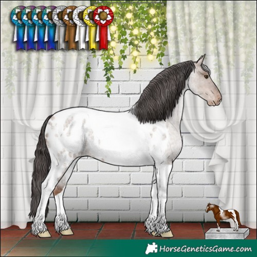 Horse Color:Liver Red Dun Roan Tobiano Near Leopard 