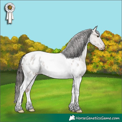 Horse Color:Liver Red Dun Roan Tobiano Appaloosa 