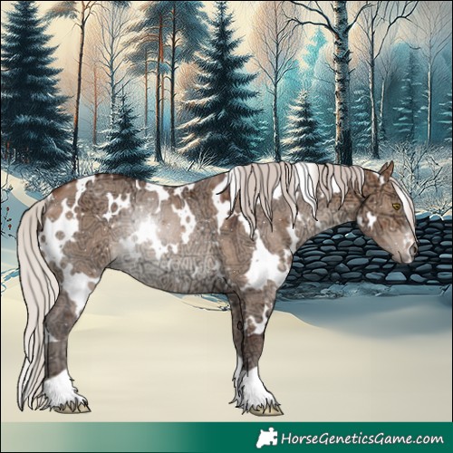 Horse Color:White Spotted Silver Bay Ice Dun Rabicano 