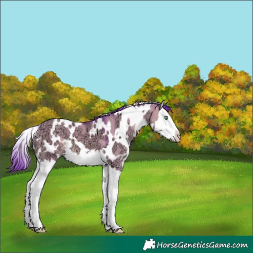 Horse Color:Watercolor White Spotted Sable Champagne Ice Dun Splash 