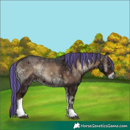 Horse Color:Painted Liver Red Onyx Ice Tobiano 