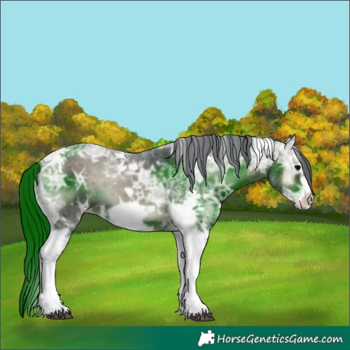 Horse Color:Blue Onyx Ice Tobiano Frame 