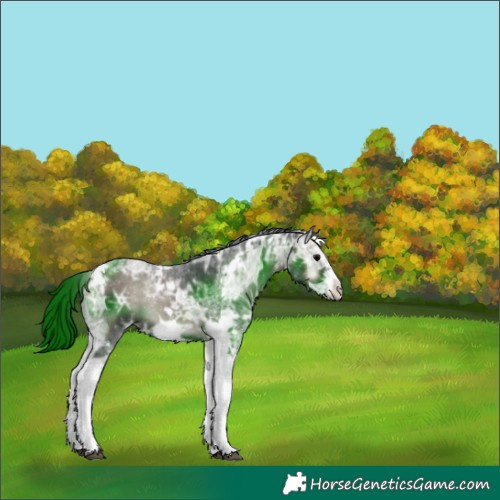 Horse Color:Blue Onyx Ice Tobiano Frame 