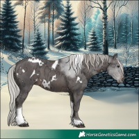 Horse Color:White Spotted Silver Brown Ice Tobiano