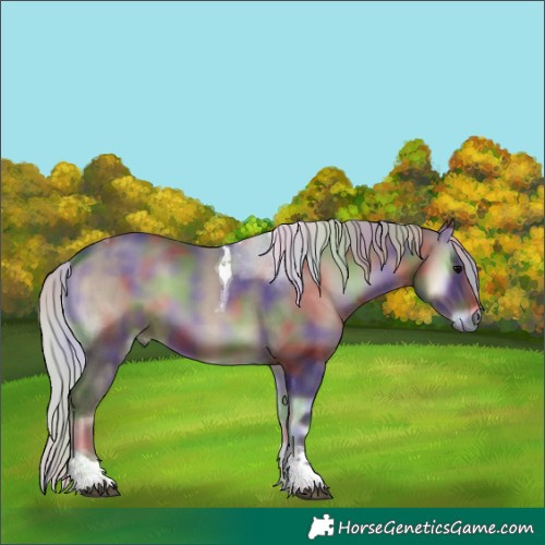 Horse Color:Nacre Silver Blue Onyx Tobiano 