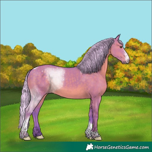 Horse Color:Watercolor Silver Grullo Sabino Tobiano 