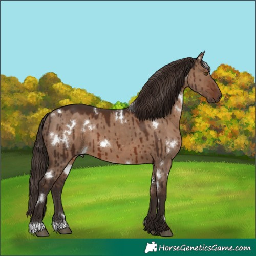 Horse Color:White Spotted Liver Red Dun Brindle 