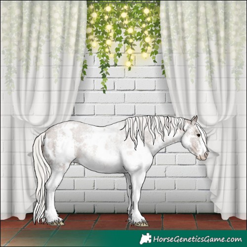 Horse Color:White Spotted Silver Black 