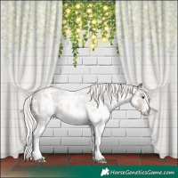 Horse Color:White Spotted Silver Black 