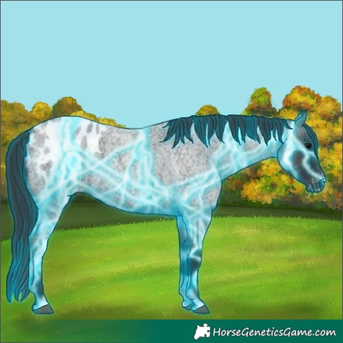 Horse Color:Thunderstruck Blue Roan Blanket