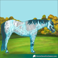 Horse Color:Thunderstruck Blue Roan Blanket 