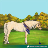 Horse Color:Palomino Roan 