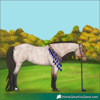 Horse Color:Bay Roan 