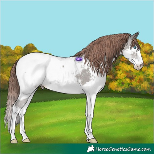 Horse Color:Grullo Mushroom Splash Snowcap 