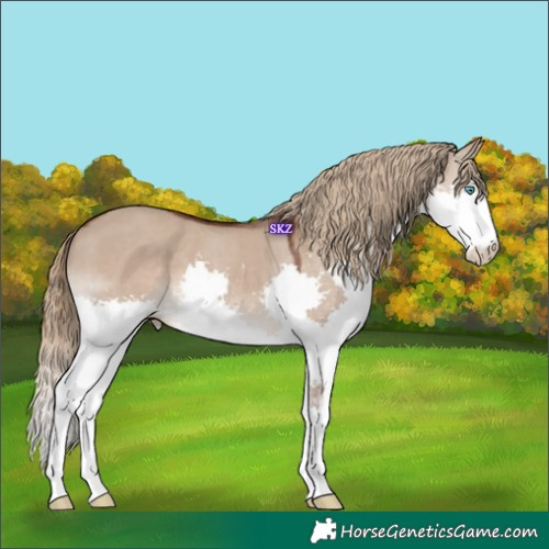 Horse Color:Liver Red Dun Splash 