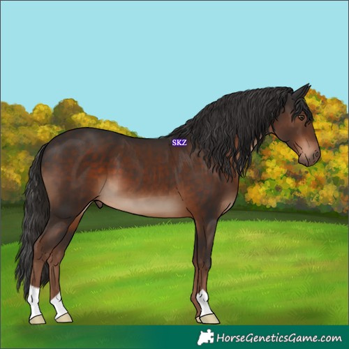Horse Color:Liver Chestnut 