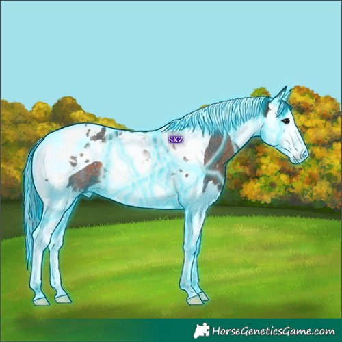 Horse Color:Thunderstruck Brown Splash Tobiano Rabicano 