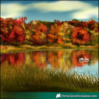 Horse Color:Bay Roan