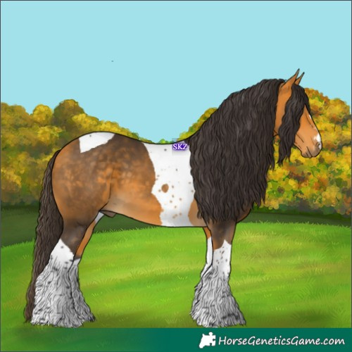Horse Color:Buckskin Tobiano 