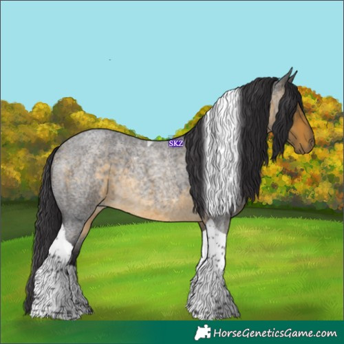 Horse Color:Buckskin Roan Tobiano 