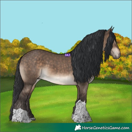 Horse Color:Brown Dun Tobiano 