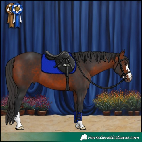 Horse Color:Brown 