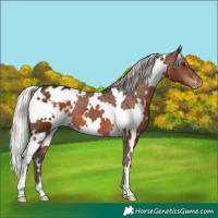 Horse Color:White Spotted Silver Brown Varnish 