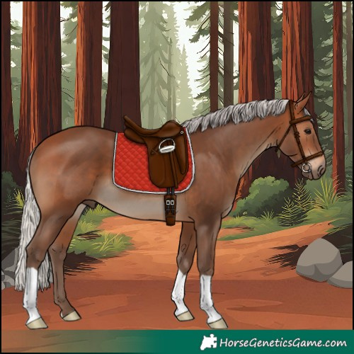 Horse Color:Silver Brown 