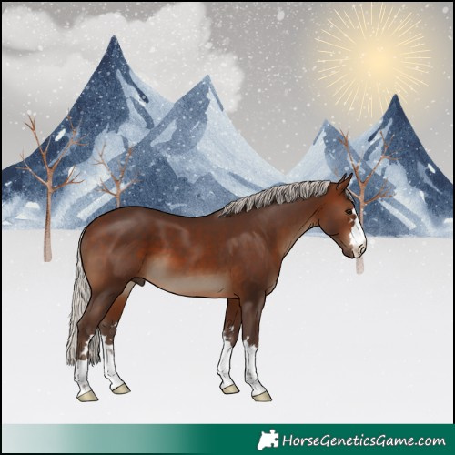Horse Color:Silver Brown 