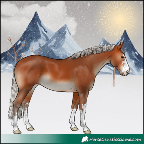 Horse Color:Silver Bay