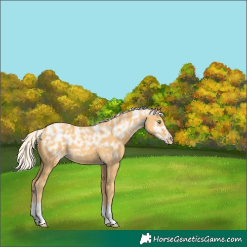 Horse Color:Silver Classic Cream Champagne Ice Tobiano 