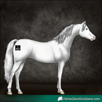 Horse Color:Silver Smoky Creme Dun 