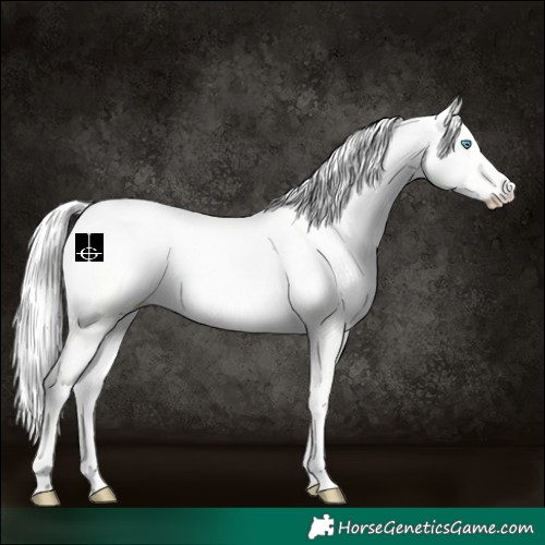 Horse Color:Cremello Dun 