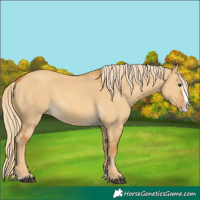 Horse Color:Palomino Dun Splash