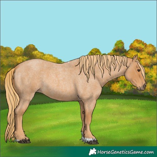 Horse Color:Red Roan Tobiano 