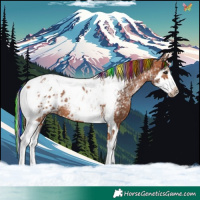 Horse Color:Painted Bay Ice Splash Tobiano Near Leopard