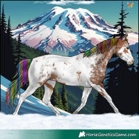 Horse Color:Painted Bay Ice Splash Tobiano Appaloosa