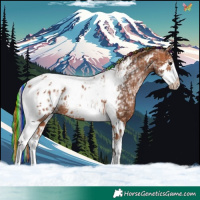 Horse Color:Painted Bay Ice Splash Tobiano Appaloosa 