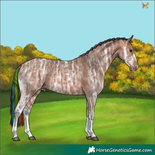 Horse Color:Painted Bay Ice Sabino Tobiano 