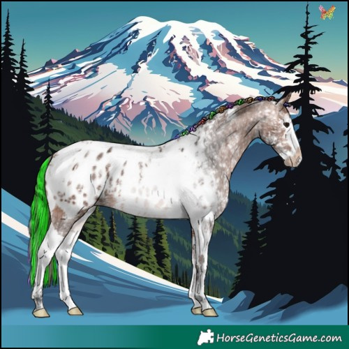 Horse Color:Painted Bay Ice Sabino Splash Tobiano Appaloosa 