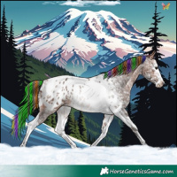 Horse Color:Painted Bay Ice Sabino Splash Tobiano Appaloosa 