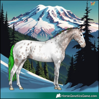 Horse Color:Painted Bay Ice Sabino Splash Tobiano Appaloosa 