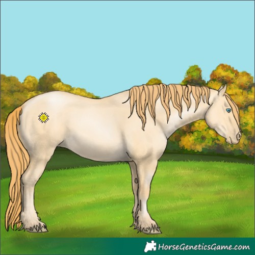 Horse Color:Buckskin Pearl Dun 