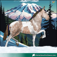 Horse Color:Painted Bay Ice Tobiano 