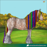 Horse Color:Painted Bay Ice Tobiano and Painted Bay Ice Tobiano