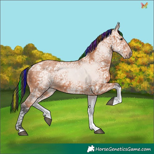 Horse Color:Painted Bay Ice Tobiano